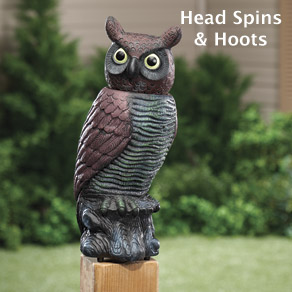 Spinning Head Owl