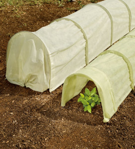 Plant Tunnels